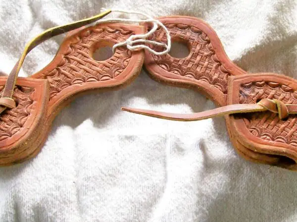 Decorative leather horse gear with ties