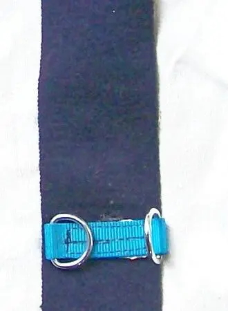 Equestrian girth with buckles