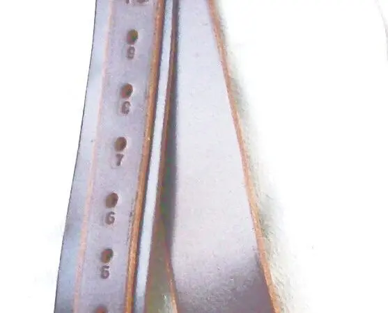 Long leather strap with holes and buckles