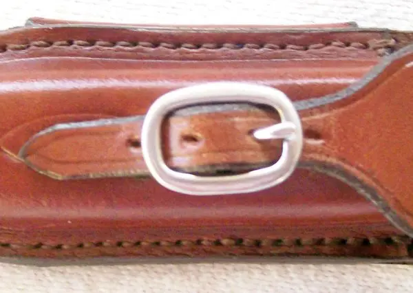 Brown leather strap with silver buckle