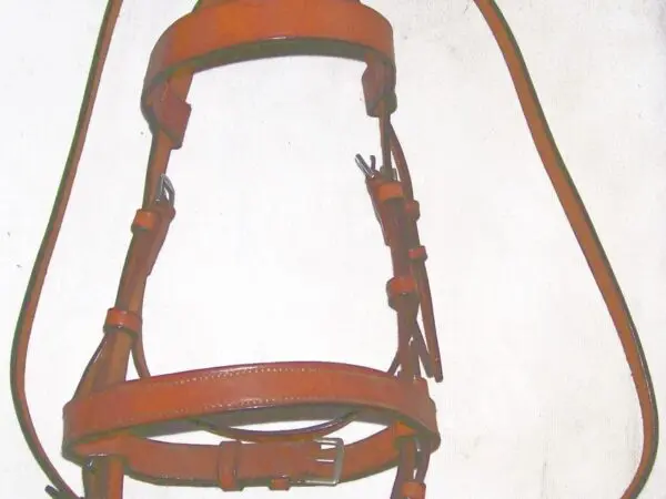 Brown equestrian bridle and reins