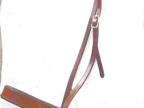Leather horse riding crop on white background
