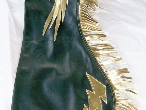 Costume with gold fringe and accents