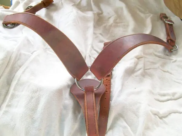 Horse tack on white fabric