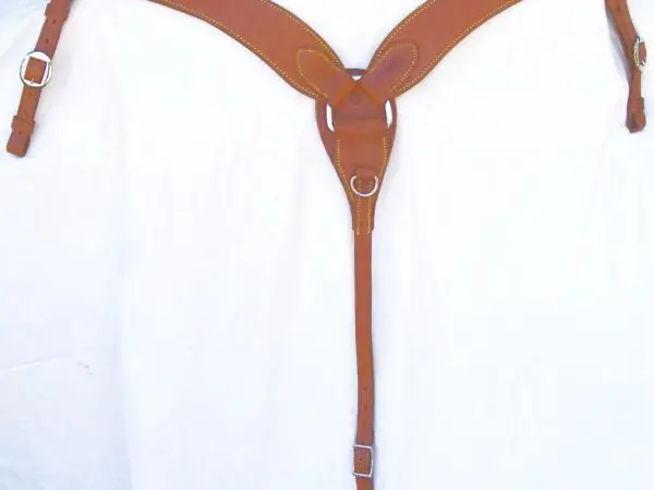 Horse tack with buckles