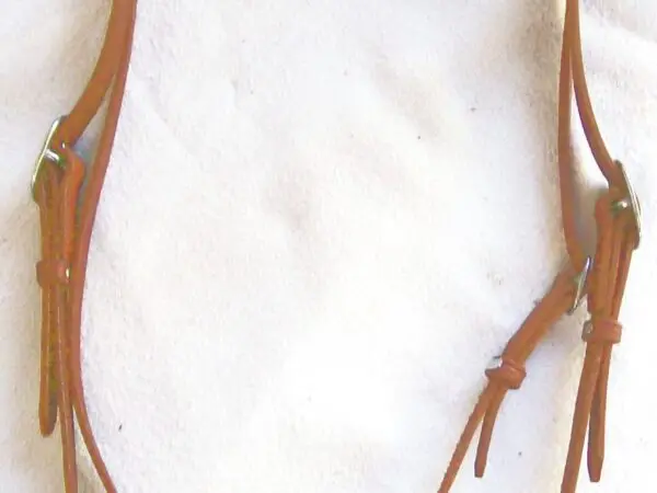 Leather horse bridle on white background