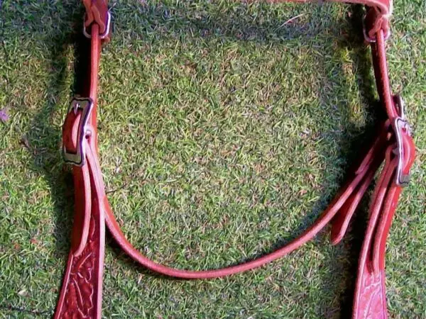 Leather horse bridle on grass
