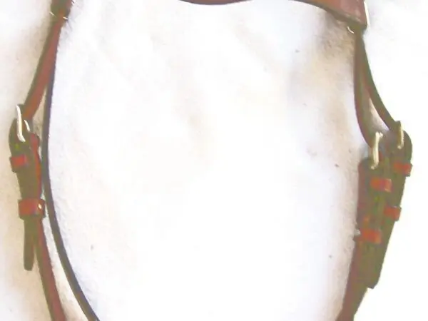 Leather horse bridle on white background