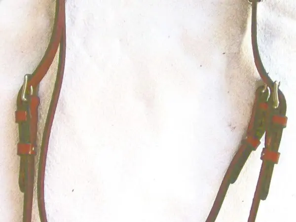 Brown equestrian bridle with silver detail