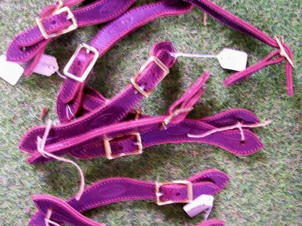 Leather straps with buckles on grass
