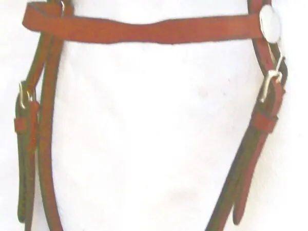Horse tack featuring simple leather bridle
