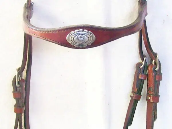 Brown leather horse bridle on display