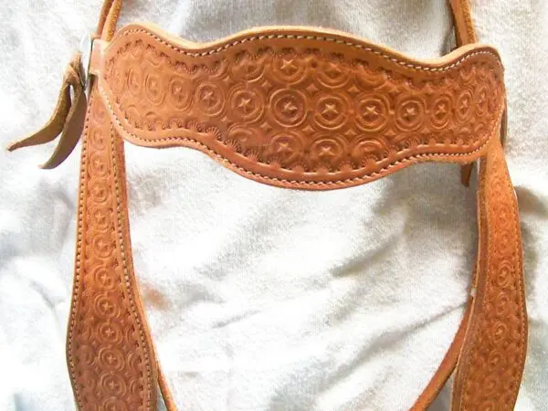 Ornate western-style horse bridle design