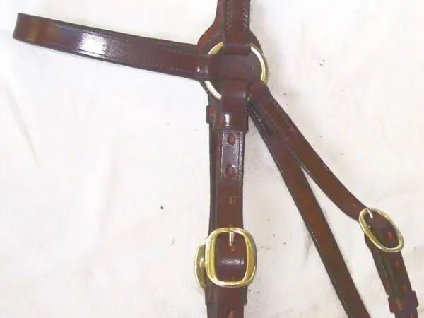 Brown equestrian bridle on white background