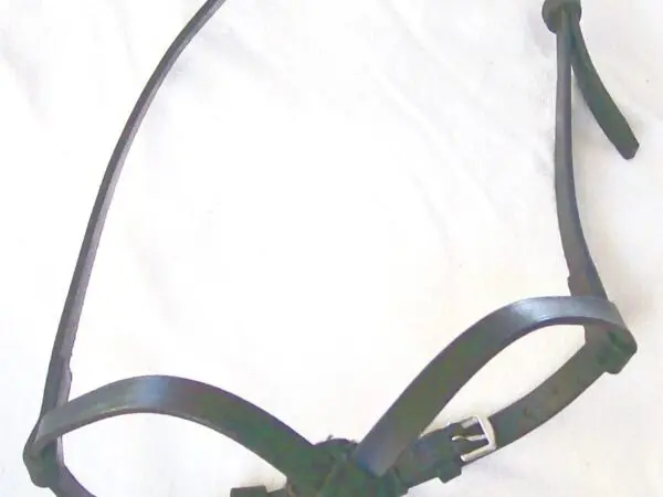 Equestrian bridle with buckles