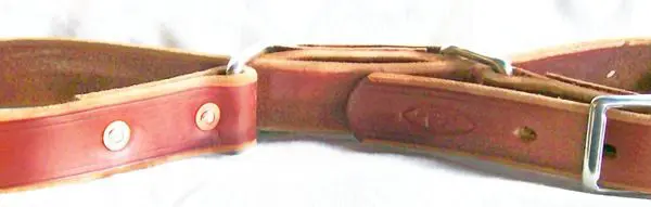 Stylish leather belt laid flat