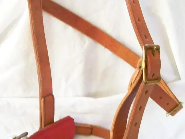 Leather horse bridle with metal buckles