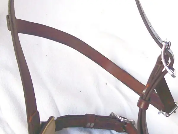 Equine bridle with metal fittings.