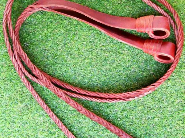 Traditional braided whip on turf surface