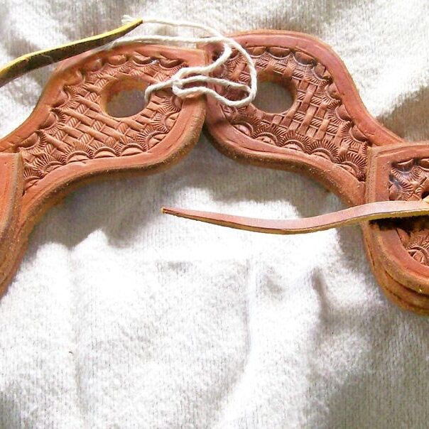 Decorative leather horse gear with ties