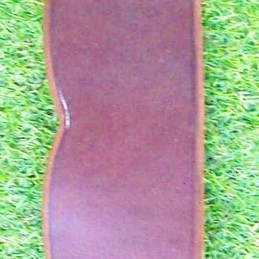 Horse tack equipment lying on turf