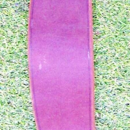 Wide leather strap on grass