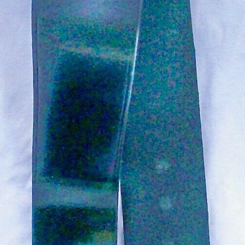 Shiny black belt on white background