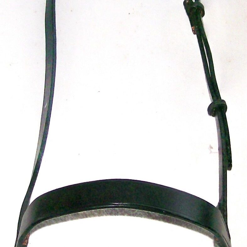 Simple leather bridle for horses