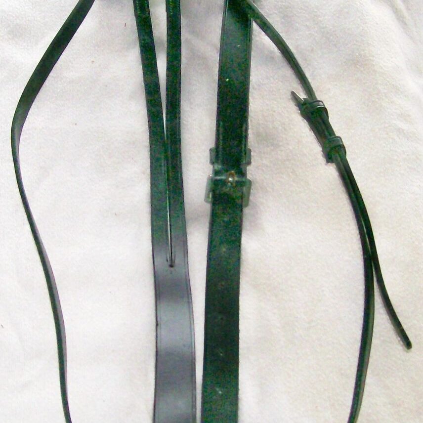 Dark leather straps for horse riding