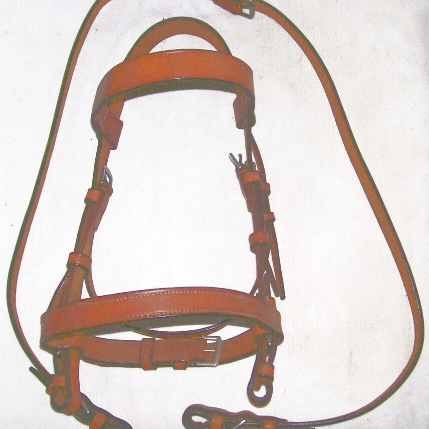 Brown equestrian bridle and reins