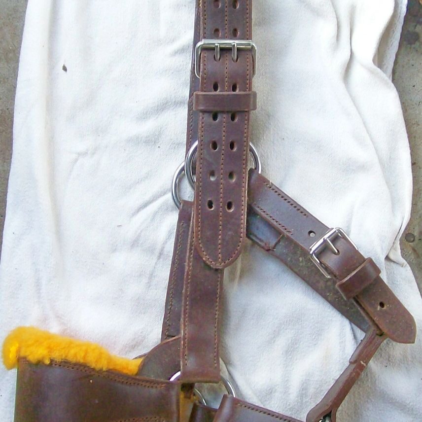 Leather horse halter with yellow fleece lining.