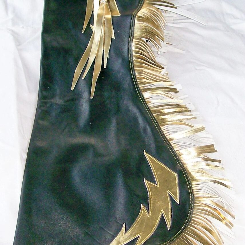 Costume with gold fringe and accents