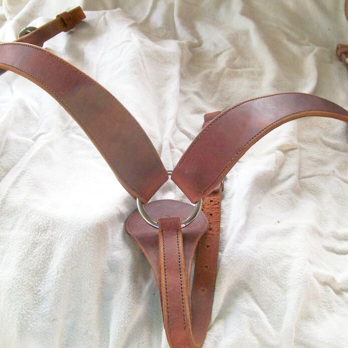 Horse tack on white fabric