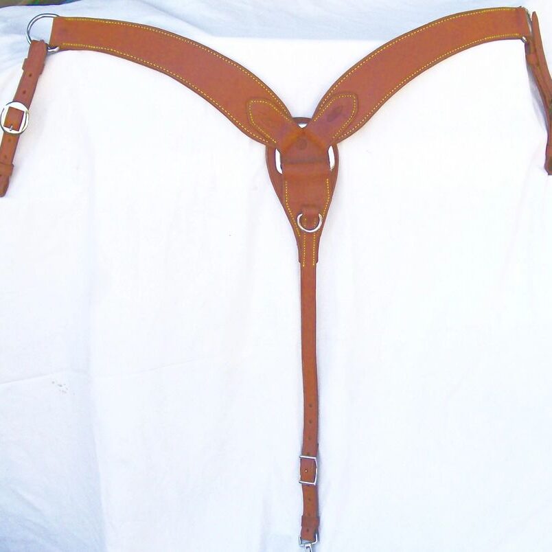 Horse tack with buckles