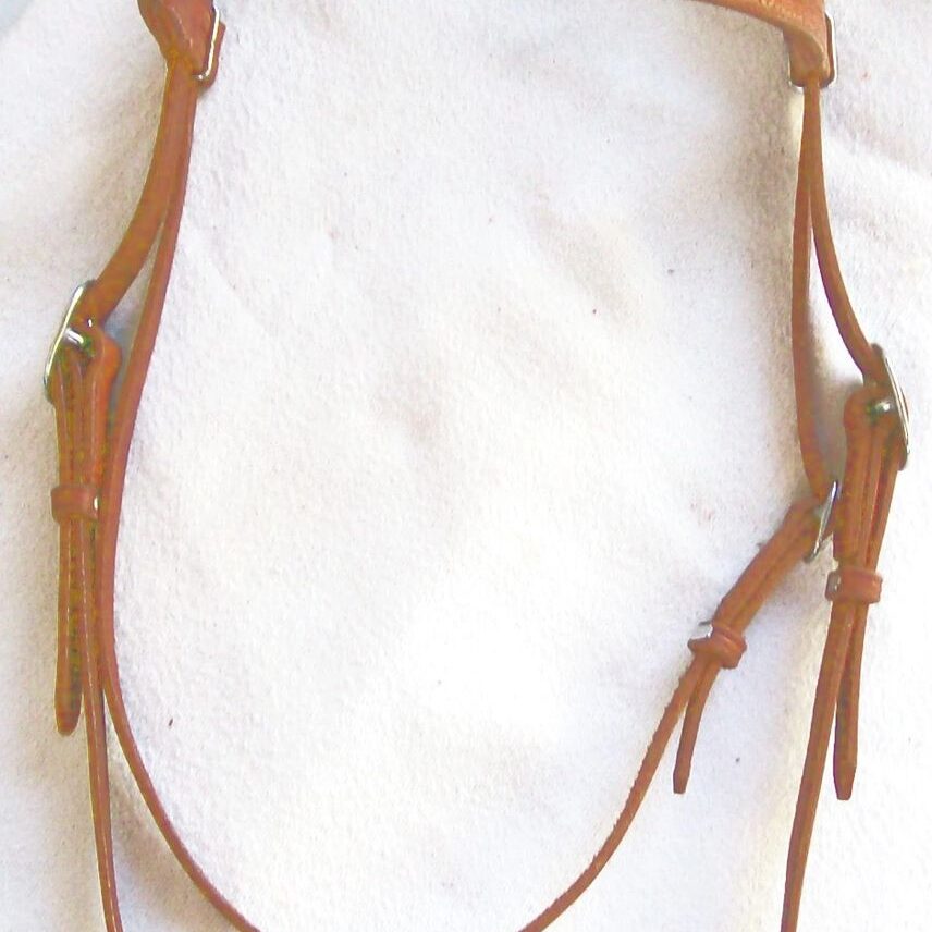 Leather horse bridle on white background