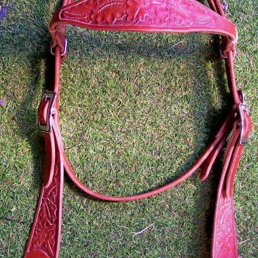 Leather horse bridle on grass