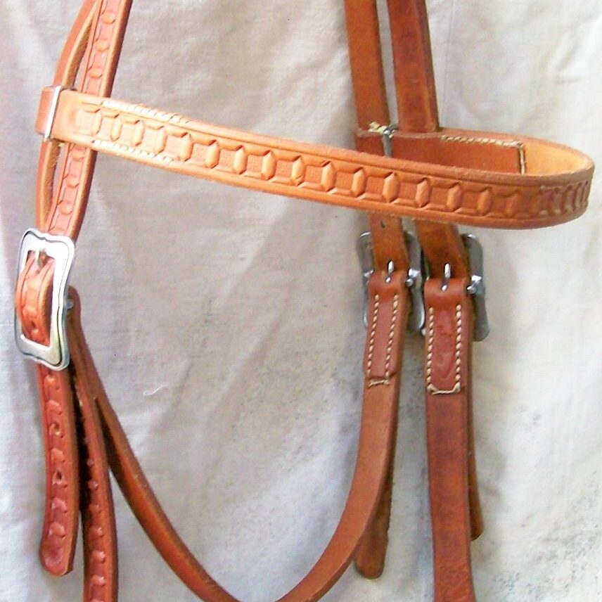 Equestrian bridle with silver buckle