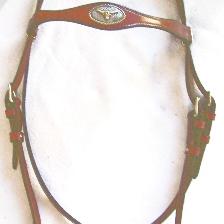 Leather horse bridle on white background