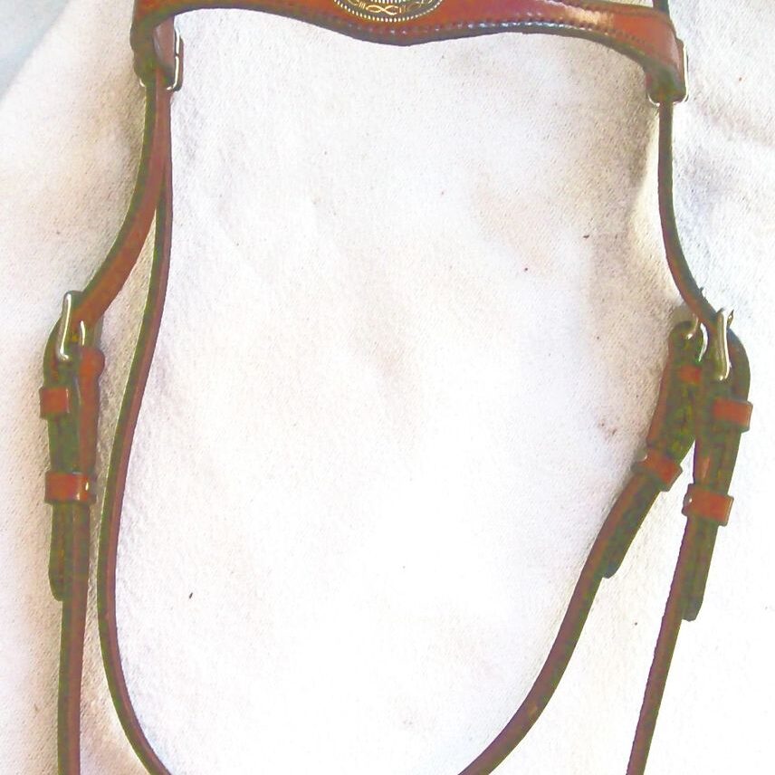 Brown equestrian bridle with silver detail