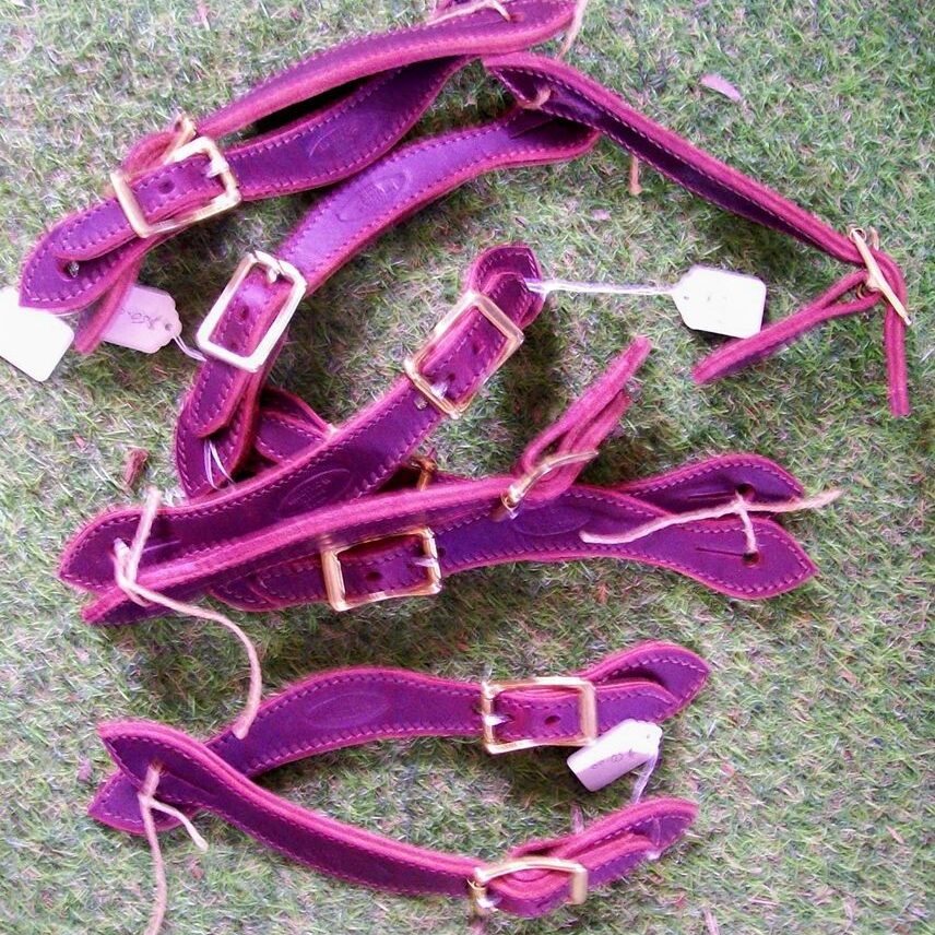Leather straps with buckles on grass