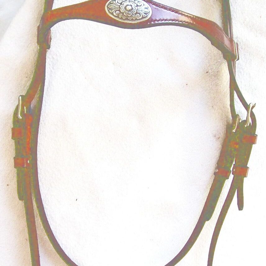 Brown equestrian bridle on white background
