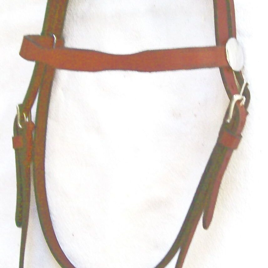 Horse tack featuring simple leather bridle