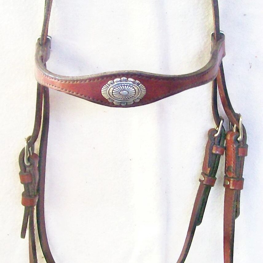 Brown leather horse bridle on display