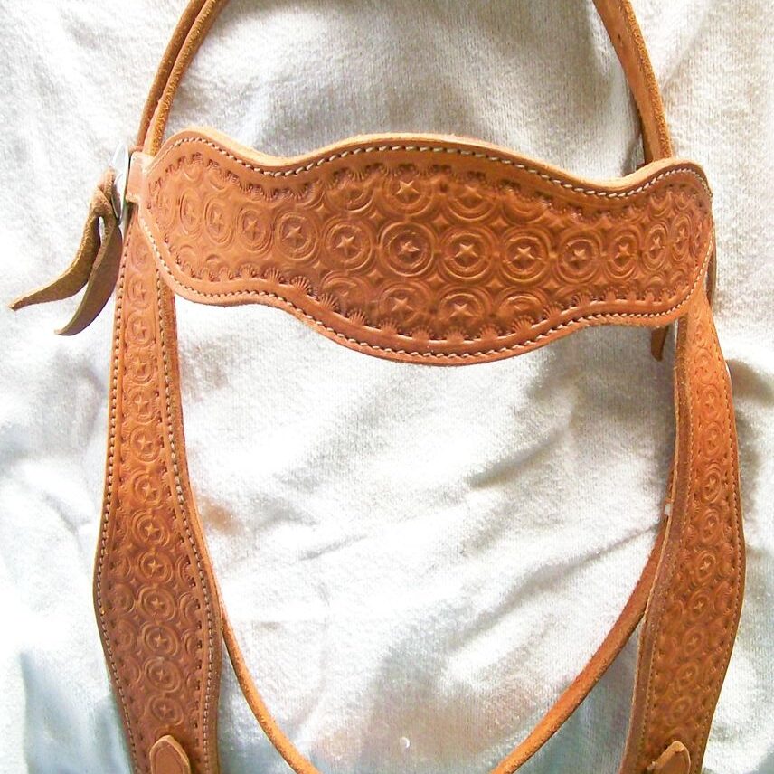 Ornate western-style horse bridle design