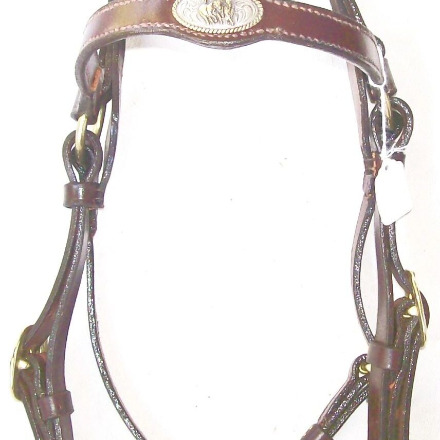 Western-style brown leather horse bridle