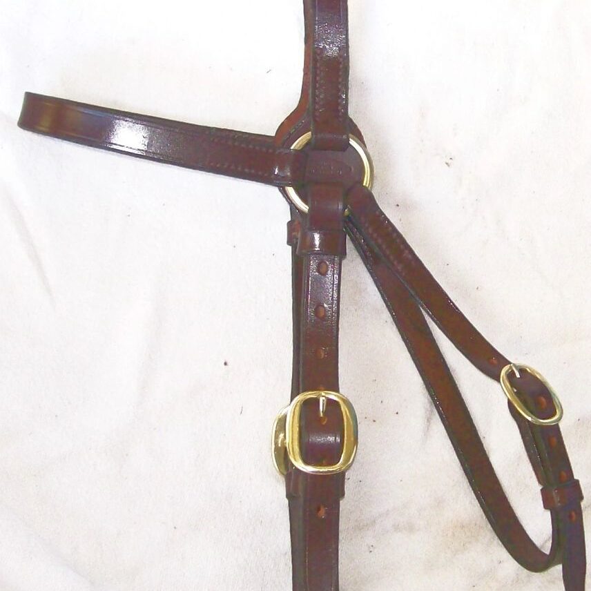 Brown equestrian bridle on white background