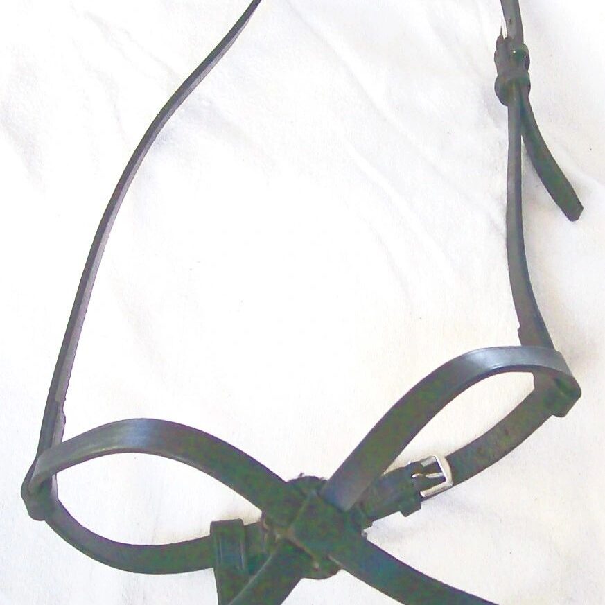Equestrian bridle with buckles