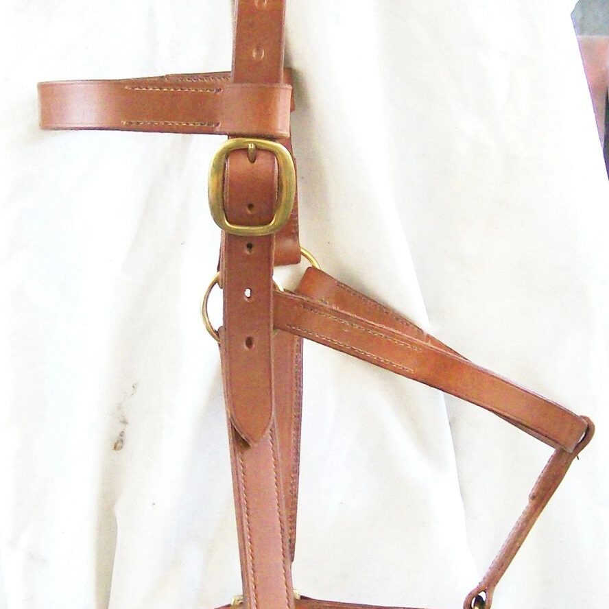 Brown equestrian halter displayed vertically.