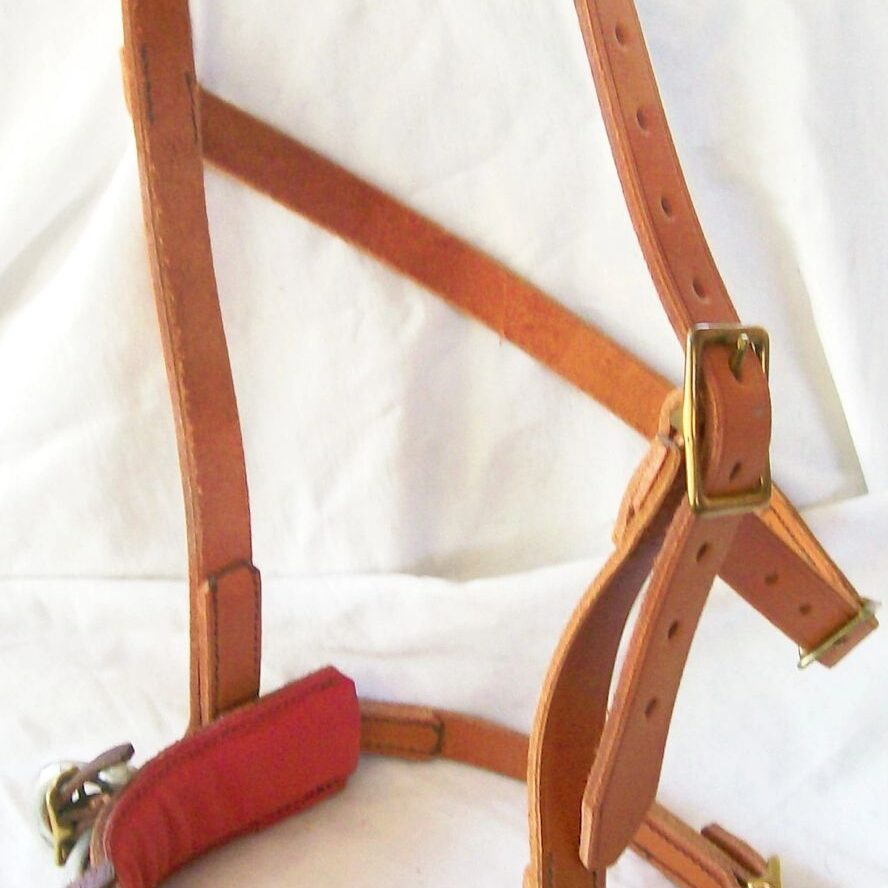 Leather horse bridle with metal buckles