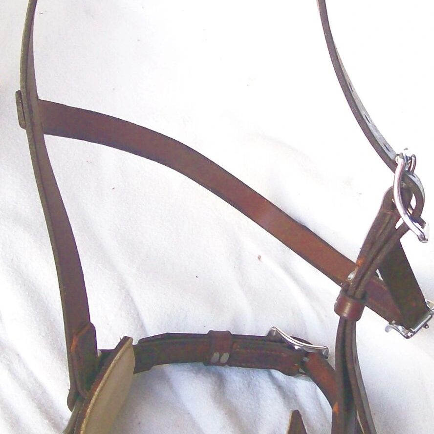 Equine bridle with metal fittings.